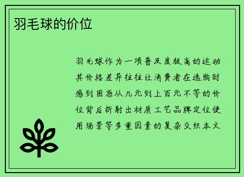 羽毛球的价位