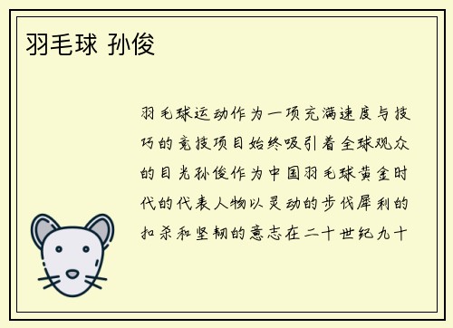 羽毛球 孙俊