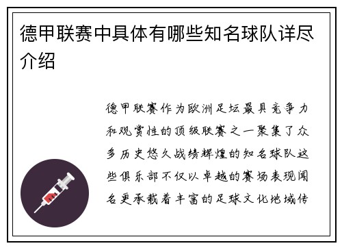 德甲联赛中具体有哪些知名球队详尽介绍